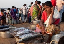 Woman selling skipjack tuna and other fish on the beach, Malabar Coast, Kerala, India. Photo: Dinesh Kapilly
